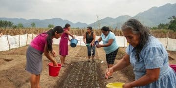 ¿Eres Beneficiario de Sembrando Vida? Nuevas Reglas y Cómo Mantener tu Apoyo - Cover Image