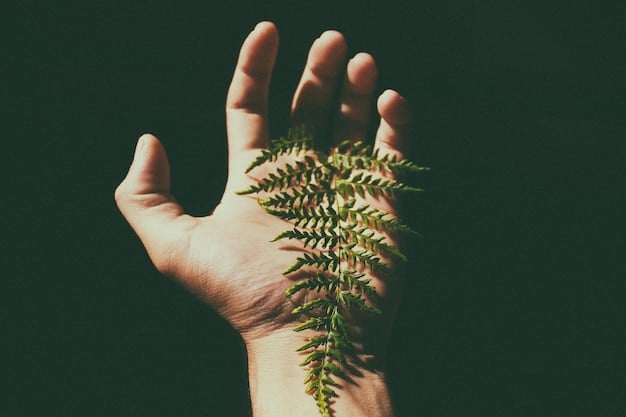 A close-up of a hand holding a sapling, highlighting the concept of nurturing and growth associated with the sustainability goals of the Sembrando Vida program; the background features blurred fields ready for planting.