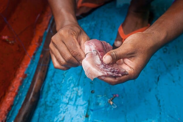 A close-up shot of a Mexican fisherman's hands, weathered and calloused, skillfully mending a fishing net. The focus is on the intricate details of the net and the texture of the fisherman's hands, symbolizing the hard work and dedication of the fishing community.
