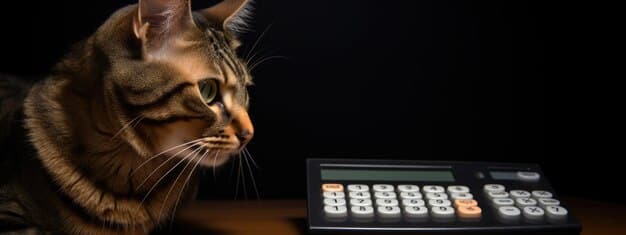 A close-up of a calculator displaying different CAT percentages, with various mortgage documents spread around it. The image emphasizes the importance of calculation and comparison when choosing a mortgage.