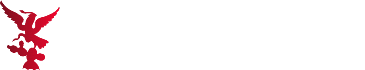 newsscoopnow.com