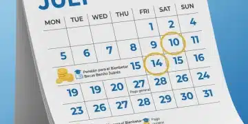 Calendario oficial de pagos 2026 para programas sociales en México